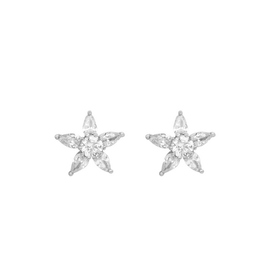 Starfish Stud Earrings