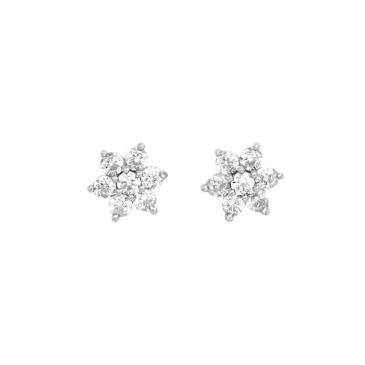 Flower Silver Splendor Earrings